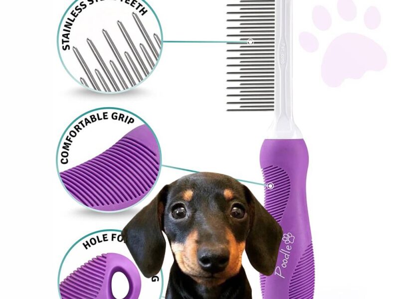 What kind of brush do you use on a long-haired dachshund?